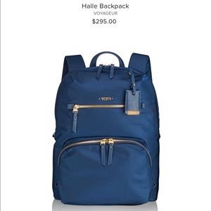 Sold‼️Halle Backpack Voyageur - comes w/ dust bag